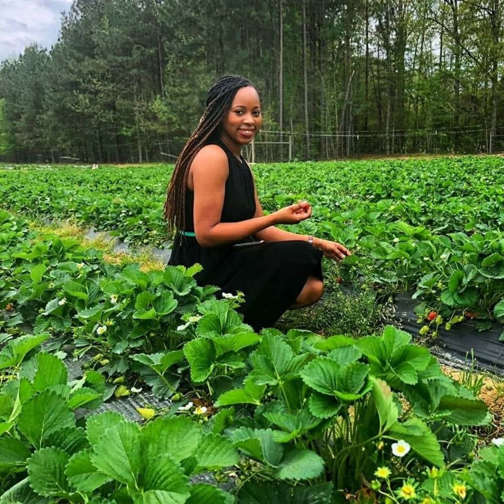 Meet your Posher, Summer